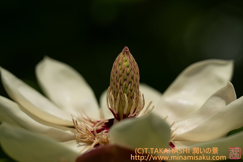 ../Images/7R250607 (94).jpg